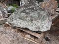 Bush Rock Feature Boulder